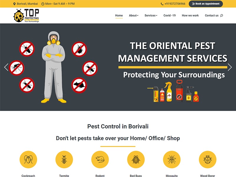 Portfolio Website Design